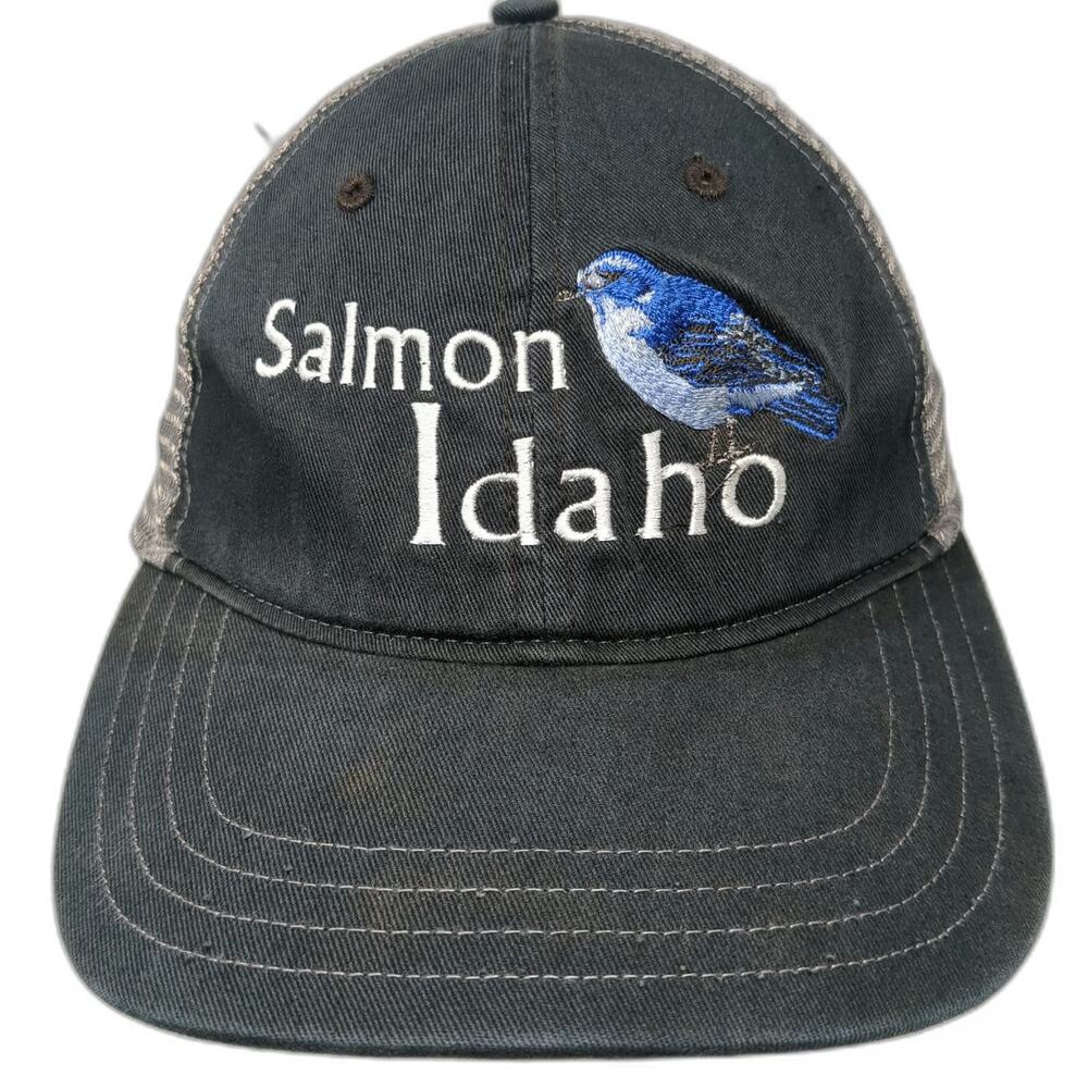 Richardson Trucker Hat Black L Salmon Idaho Embroidered Blue Bird Mesh
